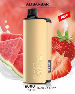 ALIBARBAR INGOT – STRAWBERRY COCONUT WATERMELON – 9000 PUFFS