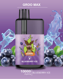 GROO MAX – BLUEBERRY ICE